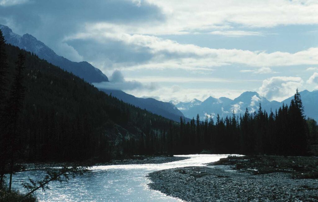 River with mountains and trees. Distinctly British Columbia.
