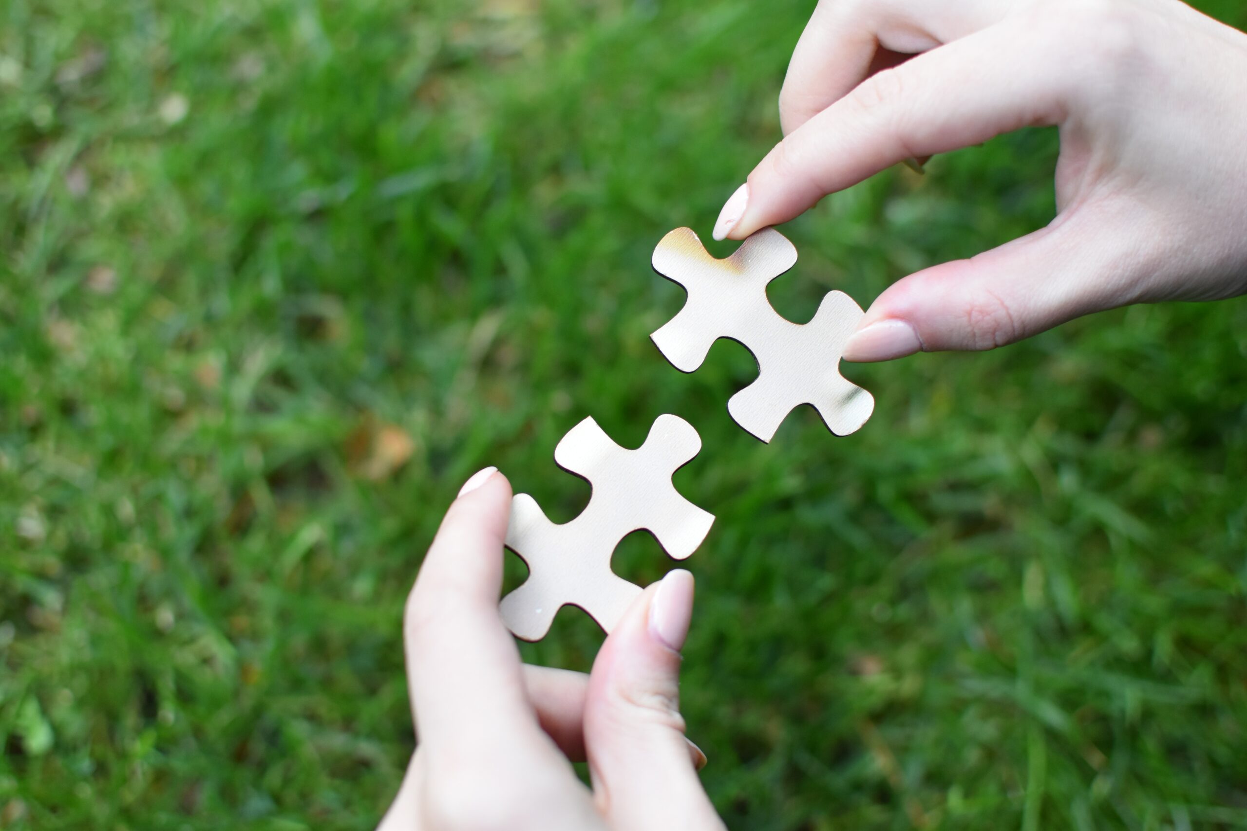 A person's hands holding two puzzle pieces close together above green grass.
